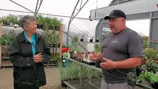 What's Happening at Your Local Garden Centre Featuring Spruce it Up Garden Centre