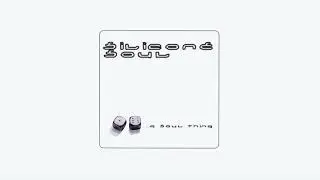 Silicone Soul - The All Nite Dub
