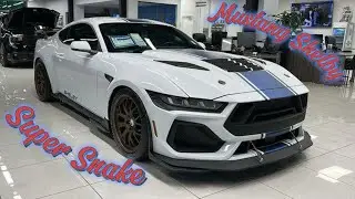 2025 Shelby Super Snake: Street-Legal Monster!