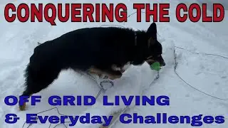 Mastering The Winter Chill: Surviving Off-grid Living! #offgridcabin #polarvortex