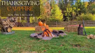 Thanksgiving Campfire &ndash; Real Fire Burning from Day to Dusk (No Loops, No AI)
