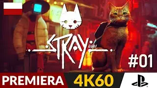 Stray PL 🐈 #1 - odc.1 🐱 Gra o kocie | Gameplay po polsku 4K