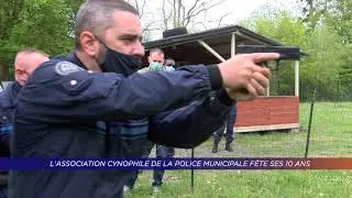 Yvelines | L’association cynophile de la police municipale fête ses 10 ans