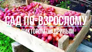 О канале 