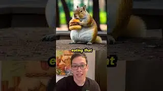 chunky squirrel #shorts