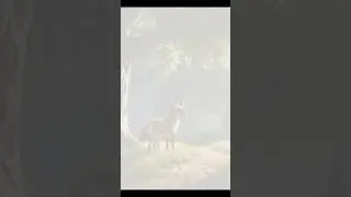 The Fox Adventure Story(1)