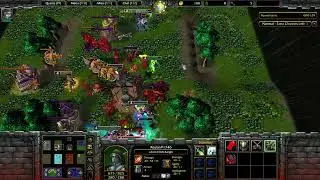 Warcraft III - Team Hero Survival #1
