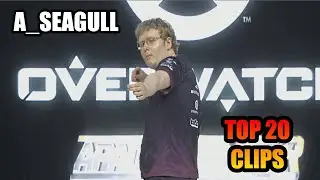 A_Seagull TOP 20 CLIPS OF ALL TIME