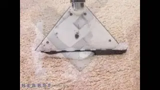 All Pro Carpet Care & Restoration - Looks Like New - Fayetteville NC 28311