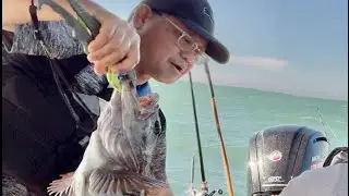 Half Moon Bay, CA. Update On Current Fishing & Crabbing! 11/08/2025.