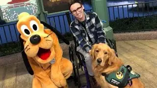 Golden Retriever Service Dog Meeting Disney's Pluto Will Make You Smile