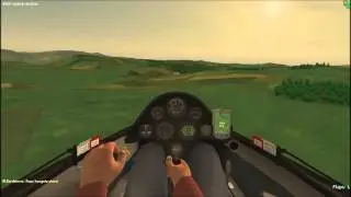 Condor Soaring **FormationFlight**