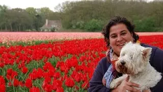 Another Spring - Barbara Straathof