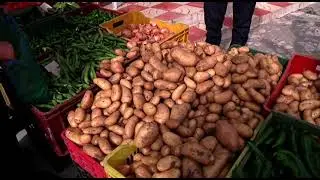 Point Marché au Marché de El mourouj 4 du Lundi 12 avril 2021