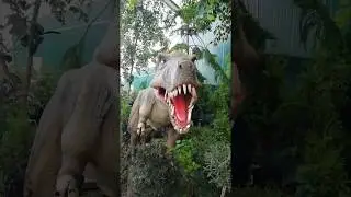 VID 20190722 1532101