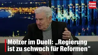 Mölzer: „Regierung ist zu schwach für Reformen“ | krone.tv 