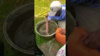 Philippine Cement Mixer