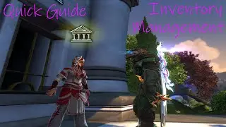 Inventory Management in Neverwinter