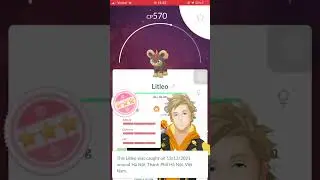 100IV #667 - Litleo | Pokemon GO