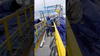 3 ноября 2024 г.