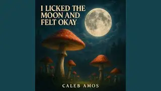 I Licked the Moon and Felt Okay
