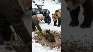 Can This Man Save the Baby Bear