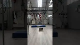 Summer's aerial hoop routine entry