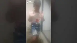 Dolly(12)