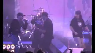AMS Crew Svinkels Enhancer - Sanibroyeur Live Au Zenith