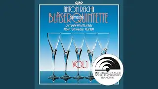Wind Quintet in F Minor, Op. 99, No. 2: IV. Allegro con vivo