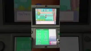 Pok&eacute;mon SoulSilver: Going to Violet City