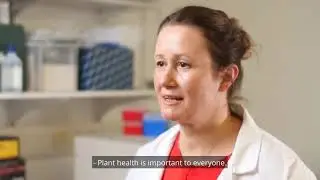 Fighting Plant Disease | Edinburgh Biomes