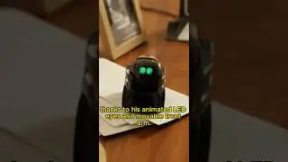 What can Vector Robot do #vector #vectorrobot #robotic #ai #shorts #robot #video #viral #fyp #foryou