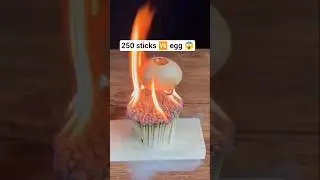 💥 250 Sticks vs Egg &ndash; Shocking Result! 😱 #lytoZ#shorts