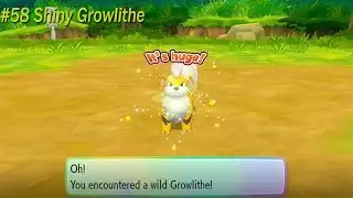 [Live] Shiny Growlithe after 31 Chain Combo! | Pokemon Let's Go Pikachu