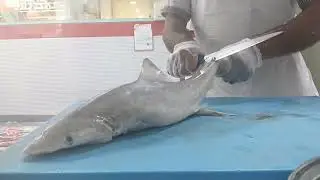 #SHARK skin remove | Haris fishworld