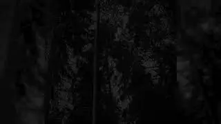 Vaakevandring -Vaakevandring (Demo - 2004 - Ultra HQ)