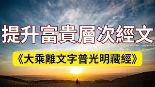 提升富貴層次、富可敵國經文《大乘離文字普光明藏經》!#优千莫#《大乘離文字普光明藏經》#天意運動#般若智慧