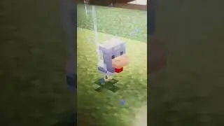 flowers#skibidi #minecraftfriends