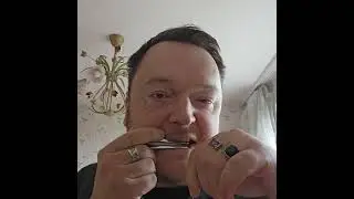 Варганы Гуриненко-Поповича в нотах Ре, До#, Си #music #nature #harmonica #подпишись #топ #rec
