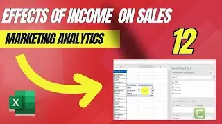 ANALYSING THE EFFECT OF INCOME ON SALES USING PIVOT TABLES
