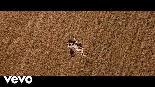 The Womb, Stereo Express - Wild Dogs