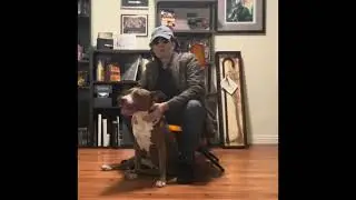 Staffy & Film Buff Reviews: Happy Gilmore 2 - The Top Gun: Maverick of Adam Sandler Films