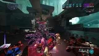 Warframe Gyre