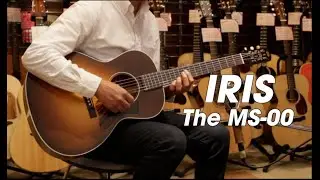 IRIS GUITAR COMPANY The MS-00 Model (Adirondack Spruce Top) Demo - 2023年に日本発上陸のアイリス