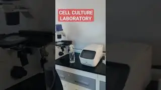 Cell Culture laboratory #shorts #shortsvideo #video #science