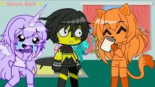 CATFEINE NO!