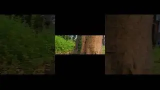 PUSHPA 3 TRAILER 🥷🏻||#videos #viral #pushpa#pushpatrailer #short#ytshorts #youtube #explorepage