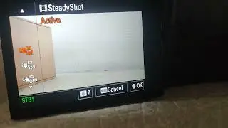 Sony A7S3 Active SteadyShot Crop Test