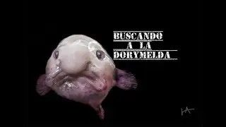 EXTORSION TELEFONICA BUSCANDO A LA  DORYMELDA